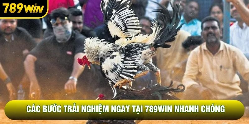 Các bước trải nghiệm ngay tại 789WIN nhanh chóng