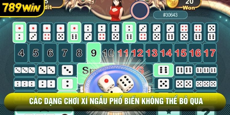 Các dạng chơi xí ngầu phổ biến không thể bỏ qua