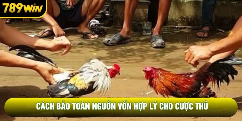 Cách bảo toàn nguồn vốn hợp lý cho cược thủ