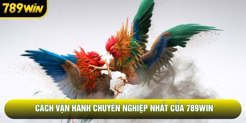 Cách vận hành chuyên nghiệp nhất của 789WIN