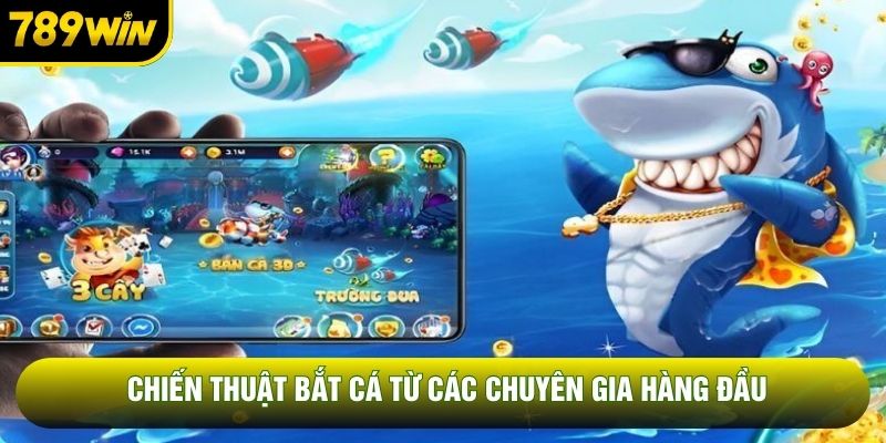 Chiến thuật bắt cá từ các chuyên gia hàng đầu