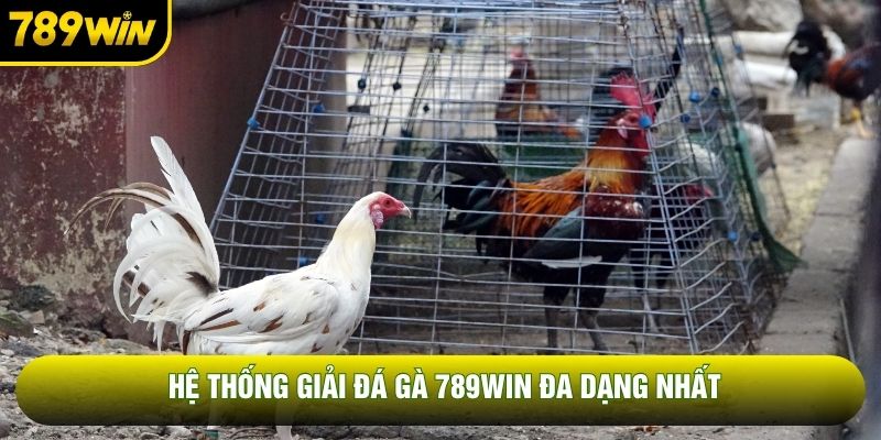 Hệ thống giải đá gà 789WIN đa dạng nhất