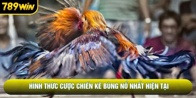 Hình thức cược chiến kê bùng nổ nhất hiện tại
