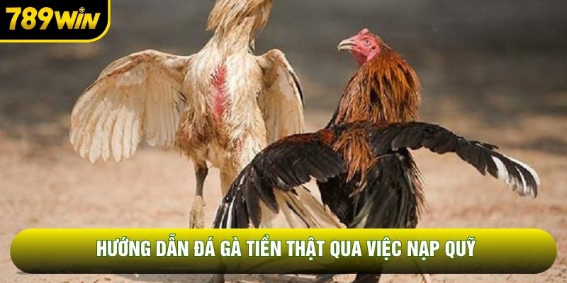 Hướng dẫn đá gà tiền thật qua việc nạp quỹ
