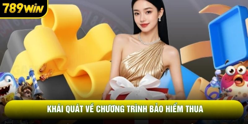 Khái quát về chương trình bảo hiểm thua