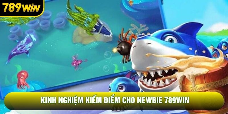 Kinh nghiệm kiếm điểm cho newbie 789WIN