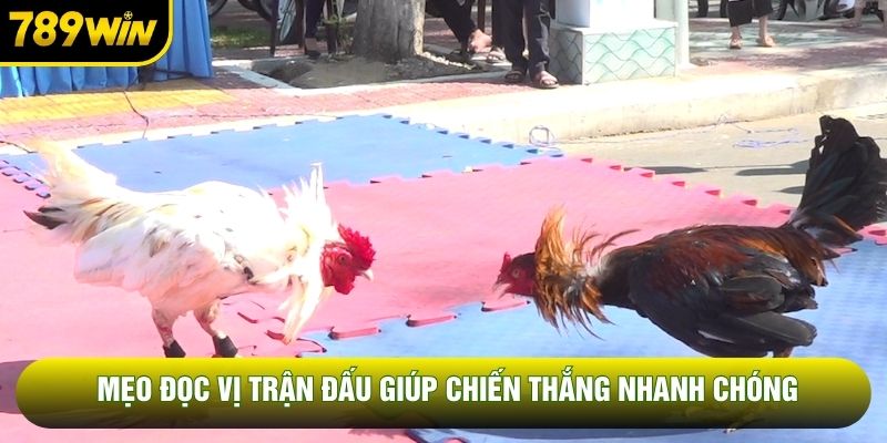 Mẹo đọc vị trận đấu giúp chiến thắng nhanh chóng