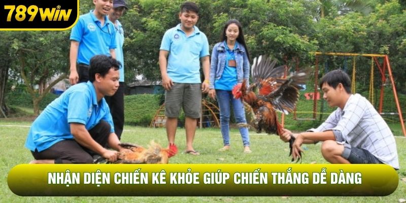 Nhận diện chiến kê khỏe giúp chiến thắng dễ dàng Nhận diện chiến kê khỏe giúp chiến thắng dễ dàng