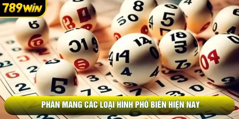 Phân mảng các loại hình phổ biến hiện nay