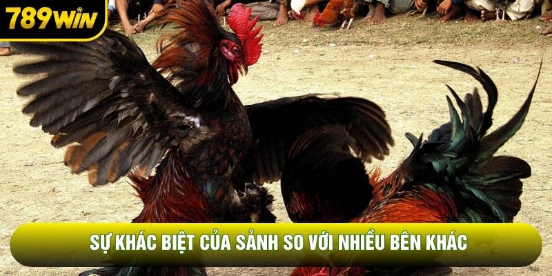 Sự khác biệt của sảnh so với nhiều bên khác