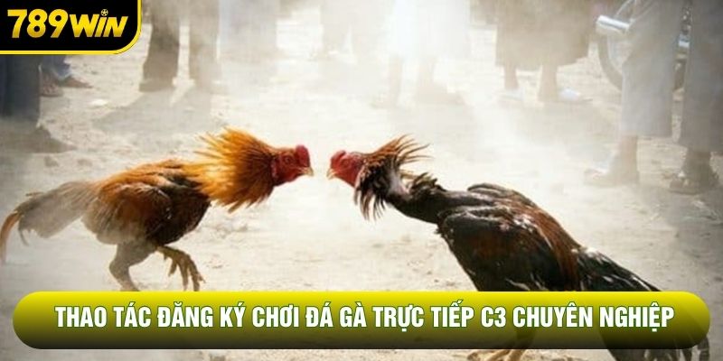 Thao tác đăng ký chơi đá gà trực tiếp C3 chuyên nghiệp
