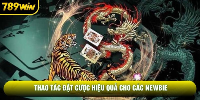 Thao tác đặt cược hiệu quả cho các newbie