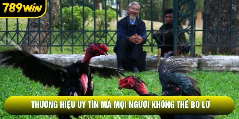 Thương hiệu uy tín mà mọi người không thể bỏ lỡ