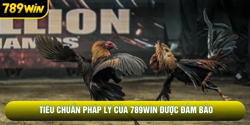 Tiêu chuẩn pháp lý của 789WIN được đảm bảo